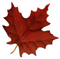 CanadaBusinessDirectory Logo
